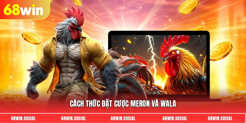Cách thức đặt cược MERON và WALA