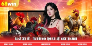 Đá gà cựa sắt - Tìm hiểu quy định và luật chơi tại 68win