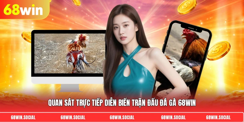 Quan sát trực tiếp diễn biến trận đấu đá gà 68Win