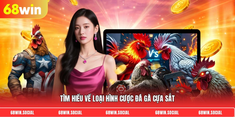 Tìm hiểu về loại hình cược đá gà cựa sắt